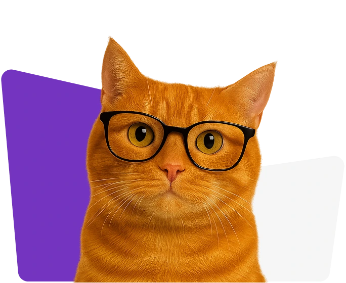 Full Stack Bangalore Hero